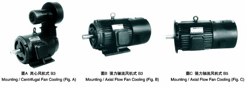 YLJ Three Phase Torque Motor