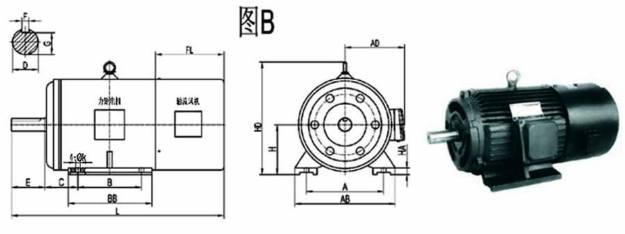 YLJ torque motor drawing B3